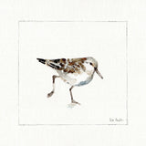 Pebbles and Sandpipers II No Words by Lisa Audit. SKU 79487a. Archival Giclee Fine art print for wall decor.