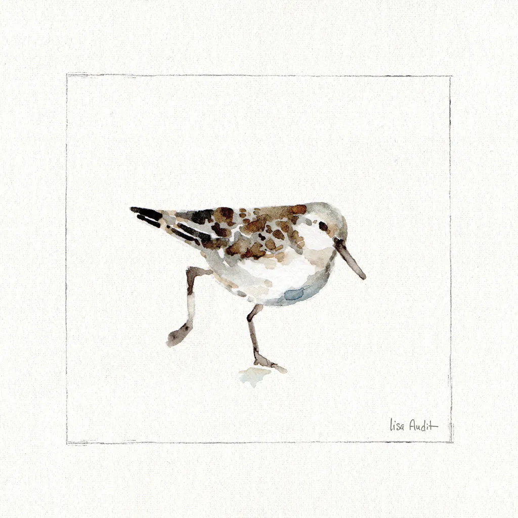 Pebbles and Sandpipers II No Words by Lisa Audit. SKU 79487a. Archival Giclee Fine art print for wall decor.