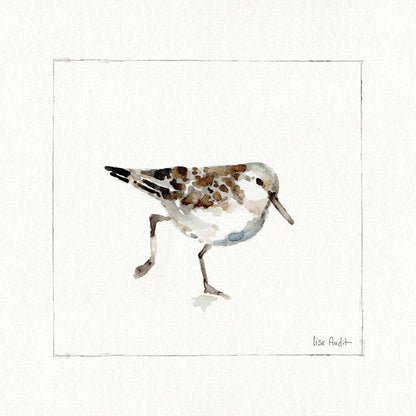 Pebbles and Sandpipers II No Words by Lisa Audit. SKU 79487a. Archival Giclee Fine art print for wall decor.
