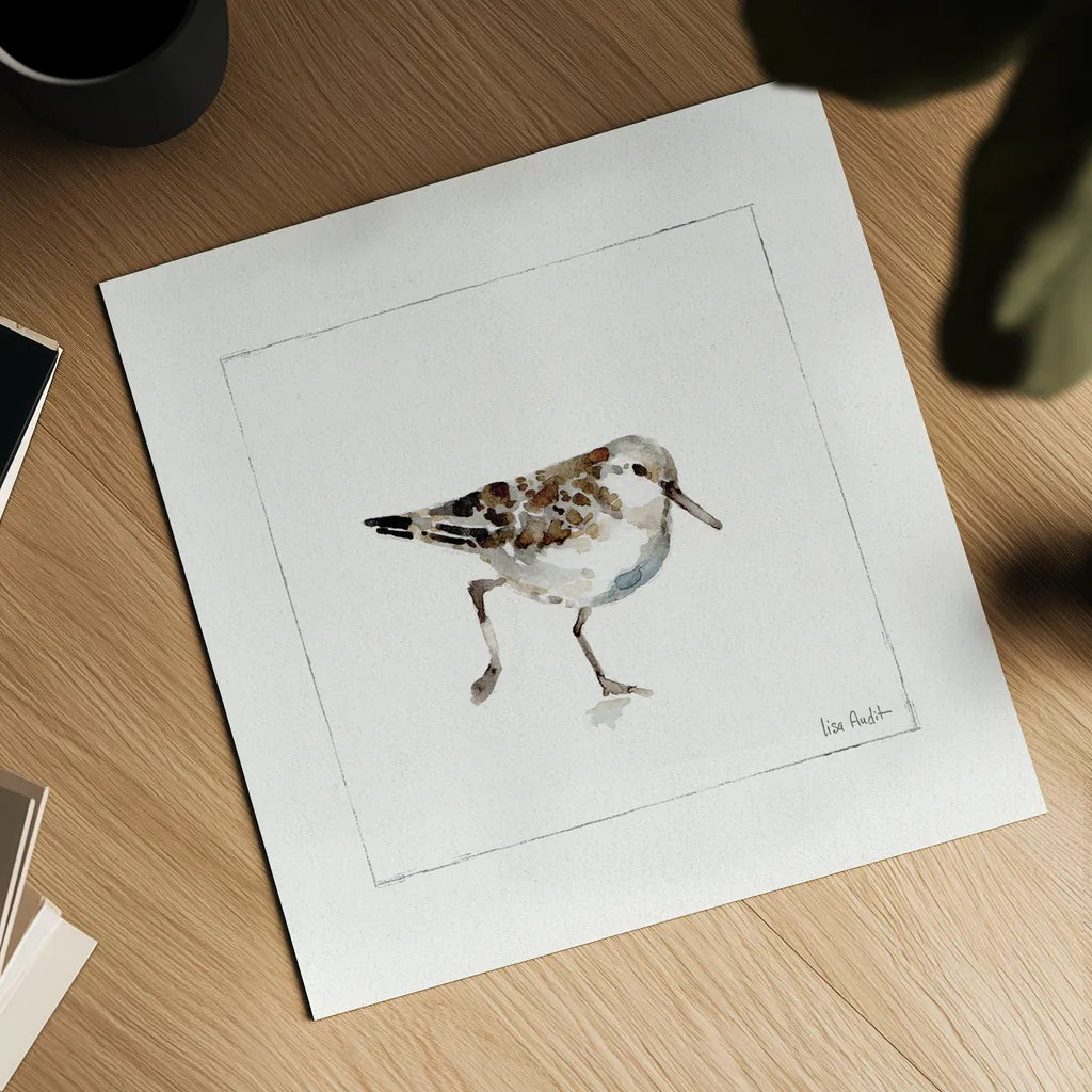 Pebbles and Sandpipers II No Words by Lisa Audit. Shown as a detailed flat fine art print, highlighting archival giclee quality. Available as an archival giclee rolled canvas, fine art paper, or poster print. SKU 79487a.