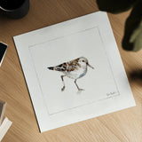 Pebbles and Sandpipers II No Words by Lisa Audit. Shown as a detailed flat fine art print, highlighting archival giclee quality. Available as an archival giclee rolled canvas, fine art paper, or poster print. SKU 79487a.
