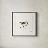 Pebbles and Sandpipers II No Words by Lisa Audit. Shown in a sleek black glass frame for a contemporary gallery look. Available as an archival giclee rolled canvas, fine art paper, or poster print. SKU 79487a.