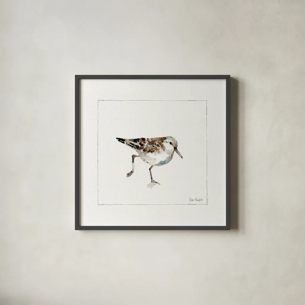 Pebbles and Sandpipers II No Words by Lisa Audit. Shown in a sleek black glass frame for a contemporary gallery look. Available as an archival giclee rolled canvas, fine art paper, or poster print. SKU 79487a.