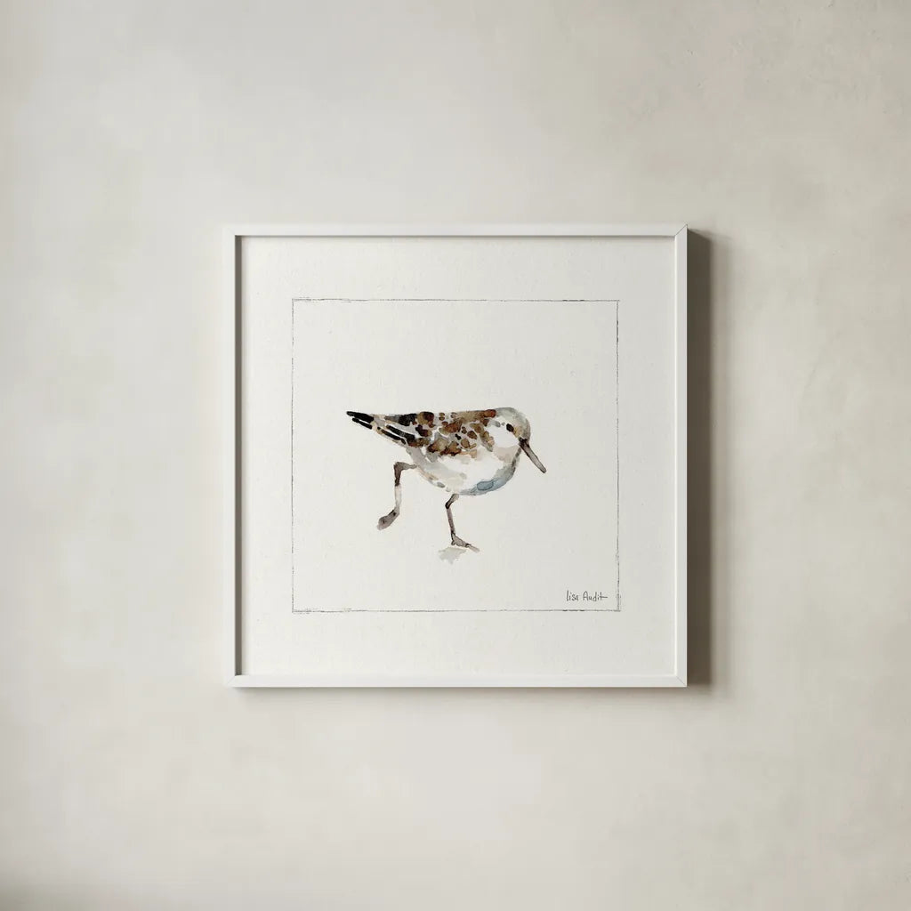 Pebbles and Sandpipers II No Words by Lisa Audit. Shown in a crisp white glass frame for a clean and minimalist style. Available as an archival giclee rolled canvas, fine art paper, or poster print. SKU 79487a.