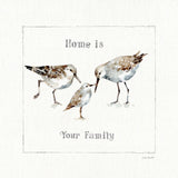 Pebbles and Sandpipers III by Lisa Audit. SKU 17345a. Archival Giclee Fine art print for wall decor.