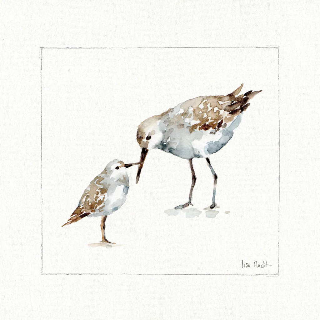 Pebbles and Sandpipers III No Words by Lisa Audit. SKU 79488a. Archival Giclee Fine art print for wall decor.