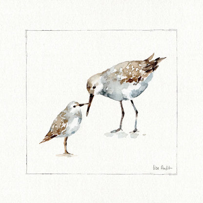 Pebbles and Sandpipers III No Words by Lisa Audit. SKU 79488a. Archival Giclee Fine art print for wall decor.