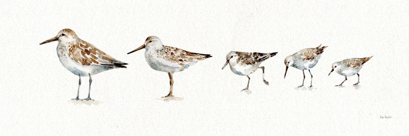 Pebbles and Sandpipers IX No Words Border by Lisa Audit