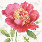 Pink Garden II by Lisa Audit. SKU 34780a. Archival Giclee Fine art print for wall decor.