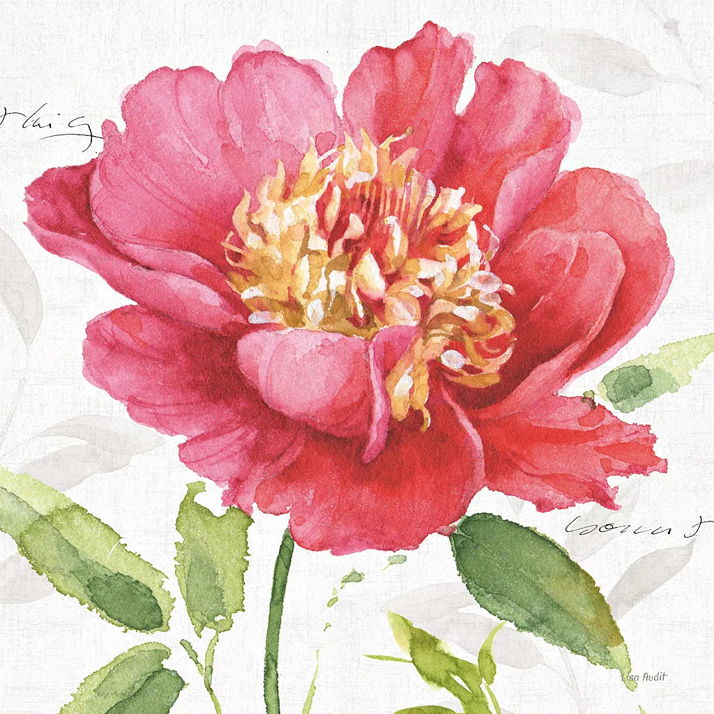 Pink Garden II by Lisa Audit. SKU 34780a. Archival Giclee Fine art print for wall decor.