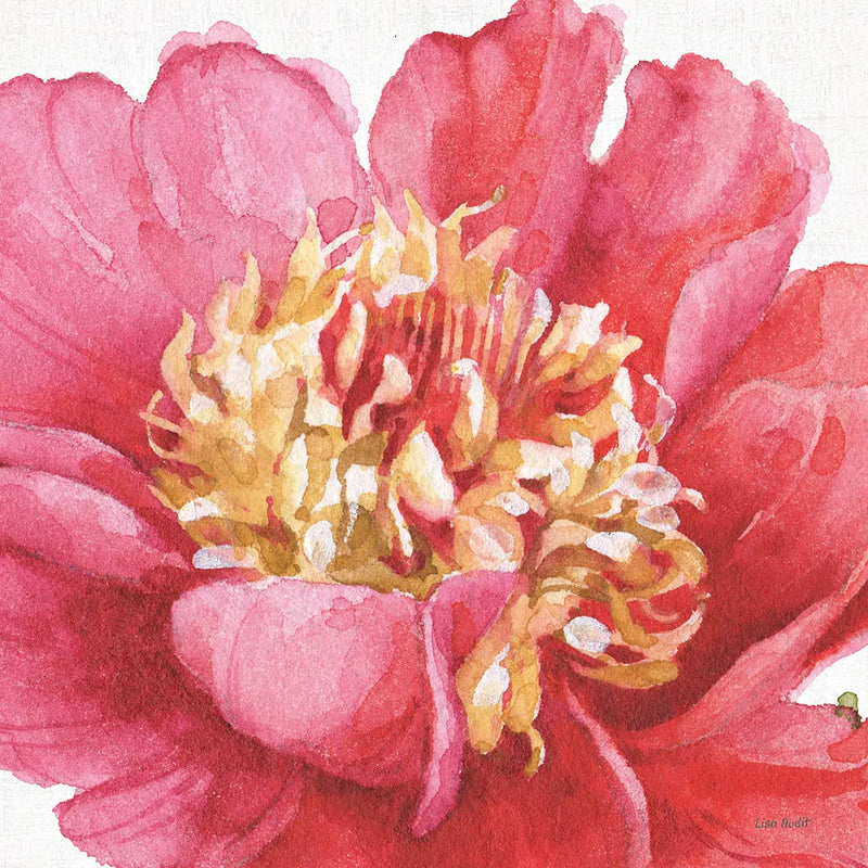 Pink Garden V by Lisa Audit. SKU 34786a. Archival Giclee Fine art print for wall decor.