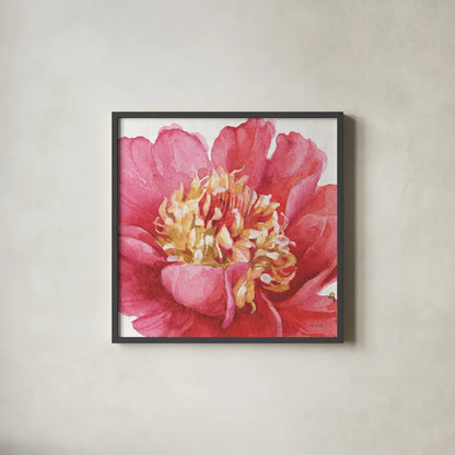 Pink Garden V by Lisa Audit. Shown in a sleek black glass frame for a contemporary gallery look. Available as an archival giclee rolled canvas, fine art paper, or poster print. SKU 34786a.