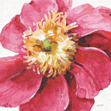 Pink Garden VI by Lisa Audit. SKU 43591a. Archival Giclee Fine art print for wall decor.