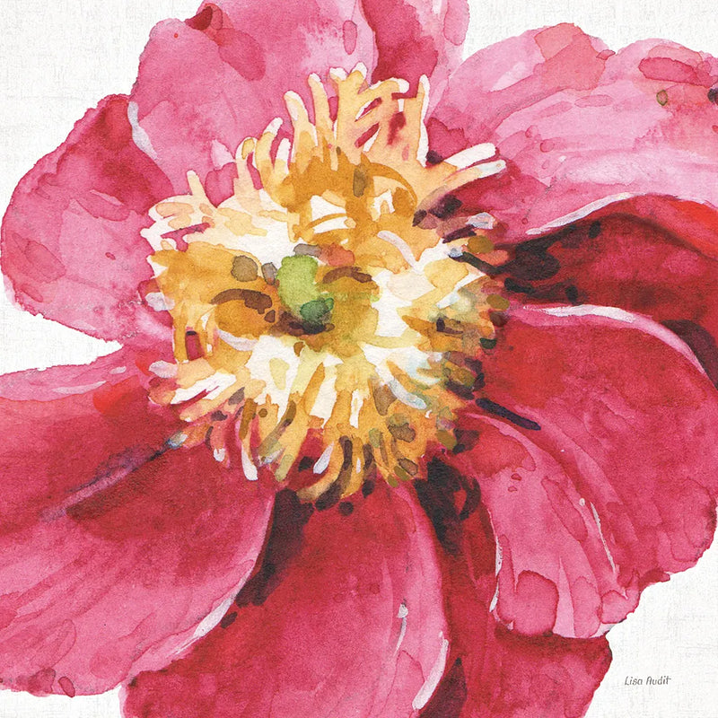 Pink Garden VI by Lisa Audit. SKU 43591a. Archival Giclee Fine art print for wall decor.