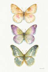 Rainbow Seeds Butterflies Fall II by Lisa Audit. SKU 102340h. Archival Giclee Fine art print for wall decor.
