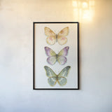 Rainbow Seeds Butterflies Fall II by Lisa Audit. shown as a paper print in a black flame. Available as a archival giclee rolled canvas, fine art paper, or poster print. SKU 102340h.