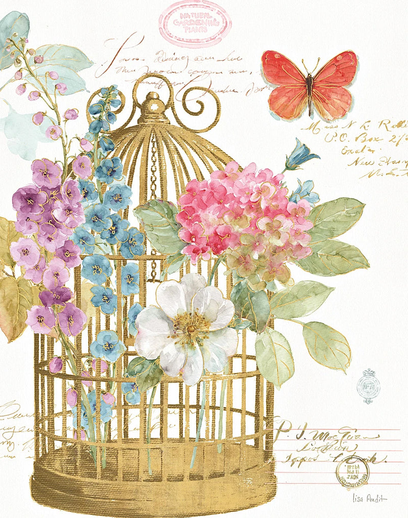 Rainbow Seeds Romantic Birdcage II by Lisa Audit