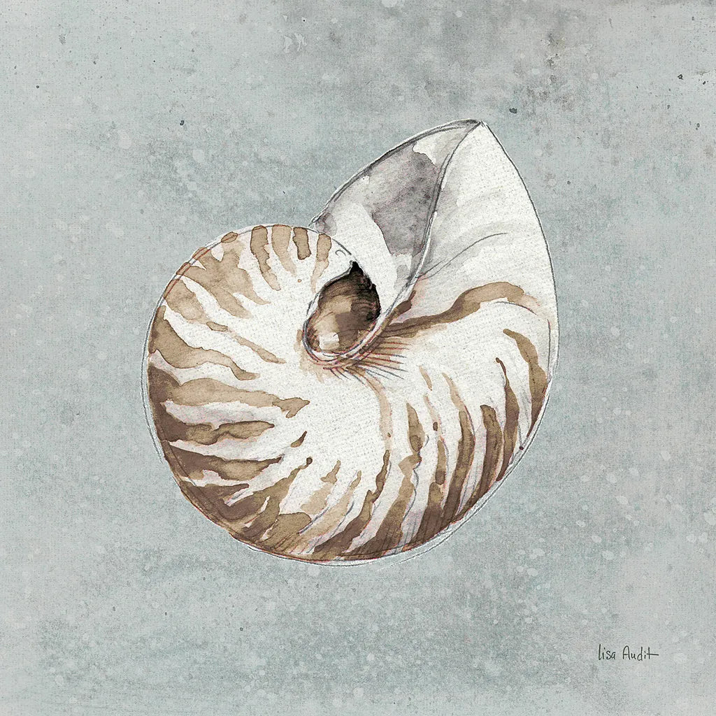 Sand and Seashells I by Lisa Audit. SKU 16899a. Archival Giclee Fine art print for wall decor.