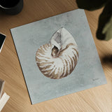 Sand and Seashells I by Lisa Audit. Shown as a detailed flat fine art print, highlighting archival giclee quality. Available as an archival giclee rolled canvas, fine art paper, or poster print. SKU 16899a.