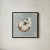 Sand and Seashells I by Lisa Audit. Shown in a sleek black glass frame for a contemporary gallery look. Available as an archival giclee rolled canvas, fine art paper, or poster print. SKU 16899a.