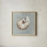 Sand and Seashells I by Lisa Audit. Shown in a natural wood glass frame for a timeless modern aesthetic. Available as an archival giclee rolled canvas, fine art paper, or poster print. SKU 16899a.