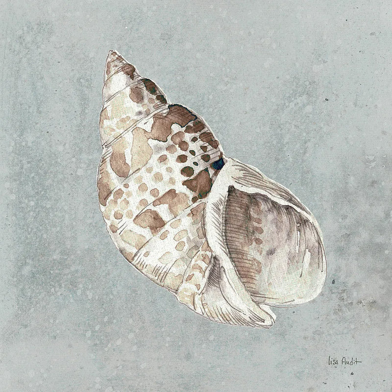 Sand and Seashells II by Lisa Audit. SKU 16900a. Archival Giclee Fine art print for wall decor.