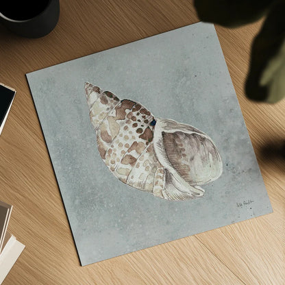 Sand and Seashells II by Lisa Audit. Shown as a detailed flat fine art print, highlighting archival giclee quality. Available as an archival giclee rolled canvas, fine art paper, or poster print. SKU 16900a.