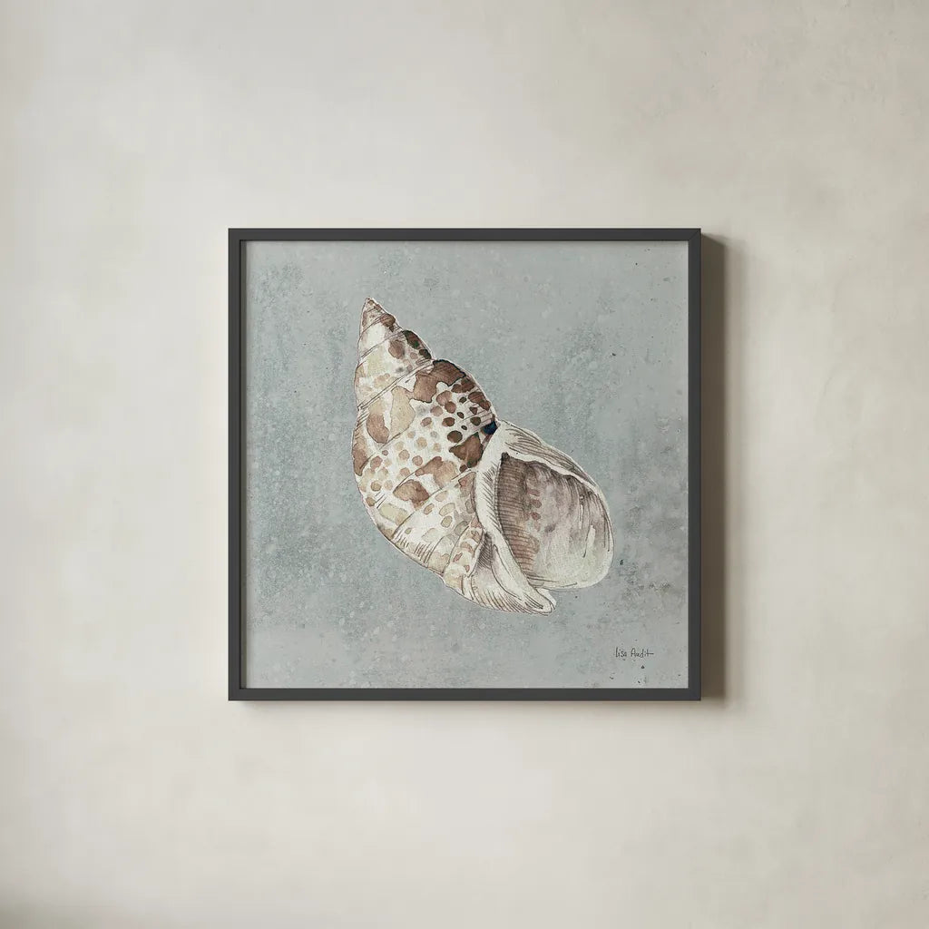 Sand and Seashells II by Lisa Audit. Shown in a sleek black glass frame for a contemporary gallery look. Available as an archival giclee rolled canvas, fine art paper, or poster print. SKU 16900a.