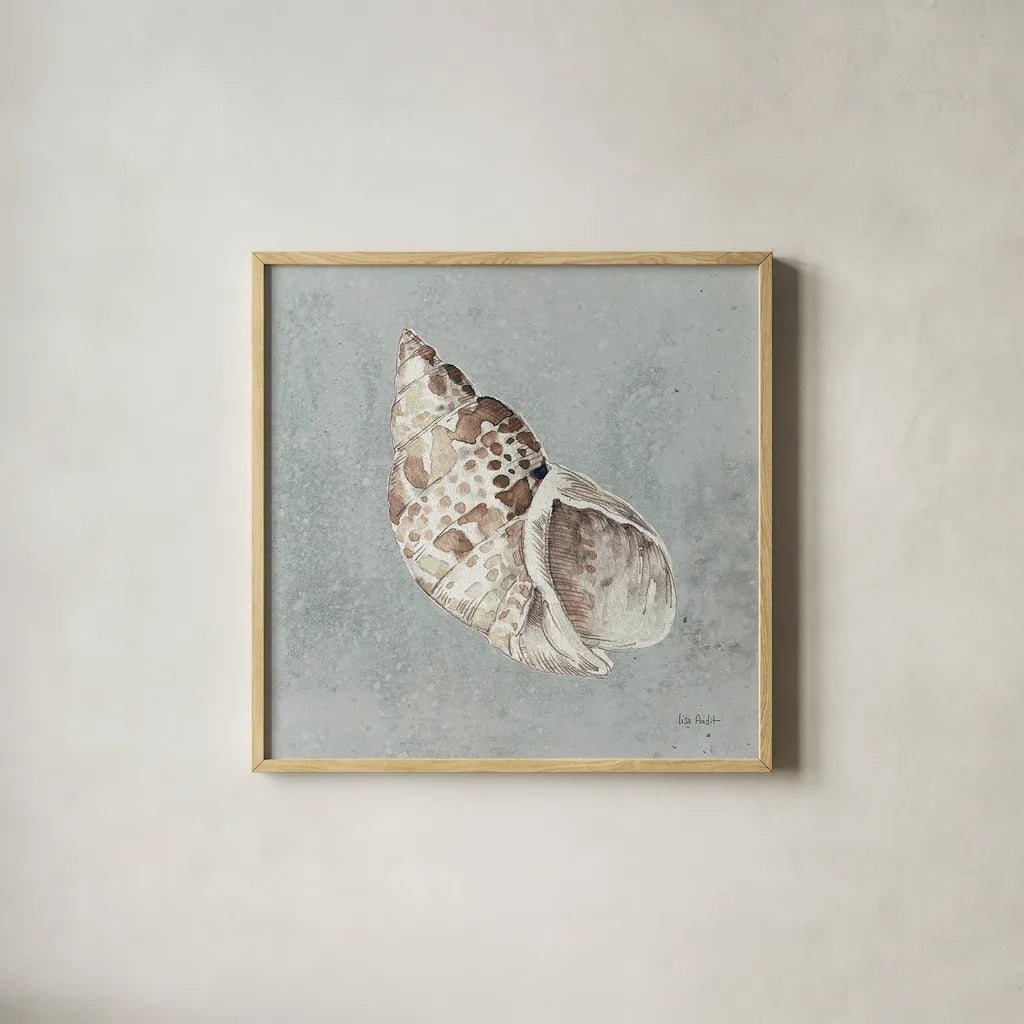 Sand and Seashells II by Lisa Audit. Shown in a natural wood glass frame for a timeless modern aesthetic. Available as an archival giclee rolled canvas, fine art paper, or poster print. SKU 16900a.