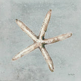 Sand and Seashells III by Lisa Audit. SKU 16901a. Archival Giclee Fine art print for wall decor.