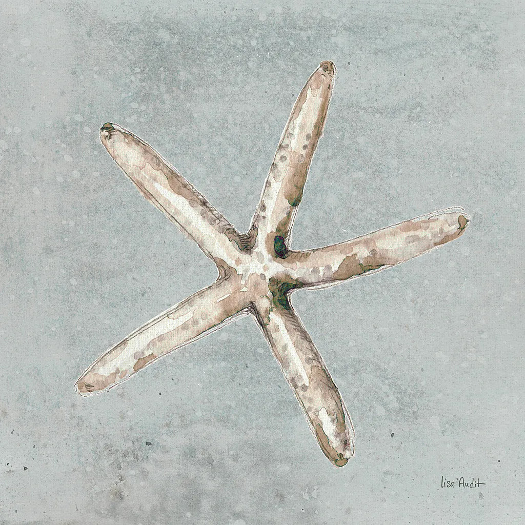 Sand and Seashells III by Lisa Audit. SKU 16901a. Archival Giclee Fine art print for wall decor.