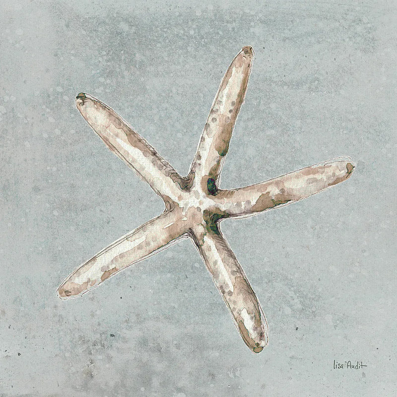Sand and Seashells III by Lisa Audit. SKU 16901a. Archival Giclee Fine art print for wall decor.
