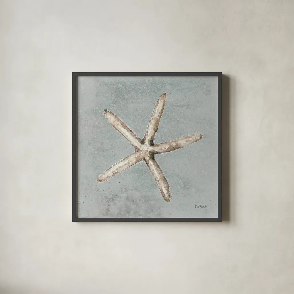 Sand and Seashells III by Lisa Audit. Shown in a sleek black glass frame for a contemporary gallery look. Available as an archival giclee rolled canvas, fine art paper, or poster print. SKU 16901a.