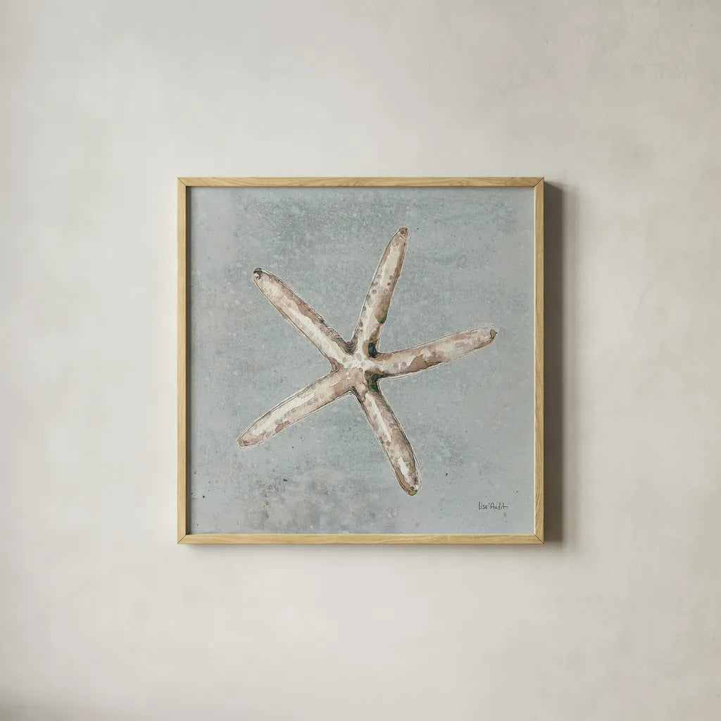 Sand and Seashells III by Lisa Audit. Shown in a natural wood glass frame for a timeless modern aesthetic. Available as an archival giclee rolled canvas, fine art paper, or poster print. SKU 16901a.