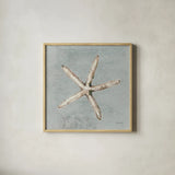 Sand and Seashells III by Lisa Audit. Shown in a natural wood glass frame for a timeless modern aesthetic. Available as an archival giclee rolled canvas, fine art paper, or poster print. SKU 16901a.