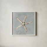 Sand and Seashells III by Lisa Audit. Shown in a crisp white glass frame for a clean and minimalist style. Available as an archival giclee rolled canvas, fine art paper, or poster print. SKU 16901a.