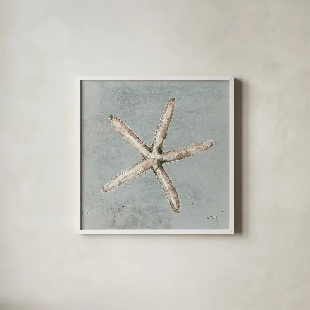 Sand and Seashells III by Lisa Audit. Shown in a crisp white glass frame for a clean and minimalist style. Available as an archival giclee rolled canvas, fine art paper, or poster print. SKU 16901a.