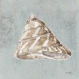 Sand and Seashells IV by Lisa Audit. SKU 16902a. Archival Giclee Fine art print for wall decor.