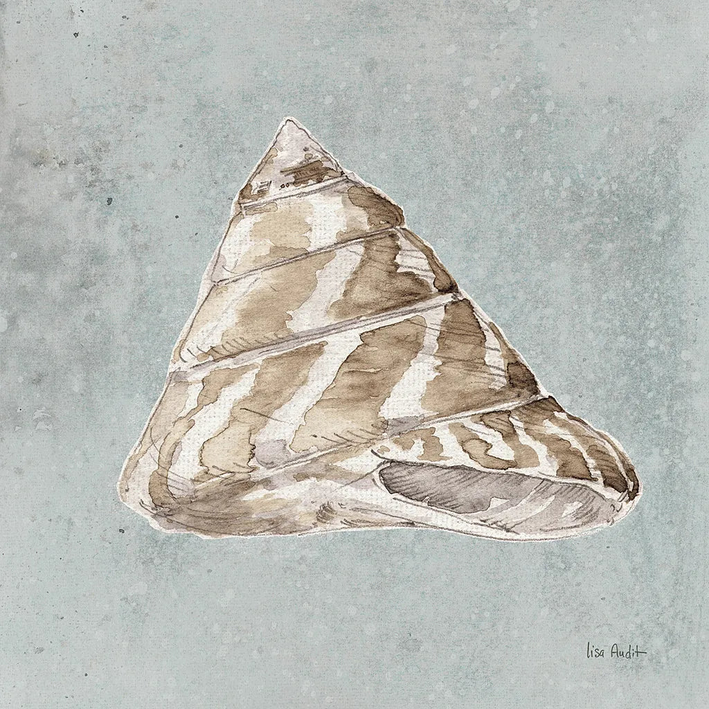 Sand and Seashells IV by Lisa Audit. SKU 16902a. Archival Giclee Fine art print for wall decor.