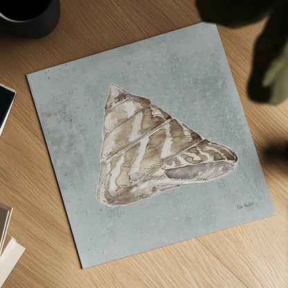 Sand and Seashells IV by Lisa Audit. Shown as a detailed flat fine art print, highlighting archival giclee quality. Available as an archival giclee rolled canvas, fine art paper, or poster print. SKU 16902a.