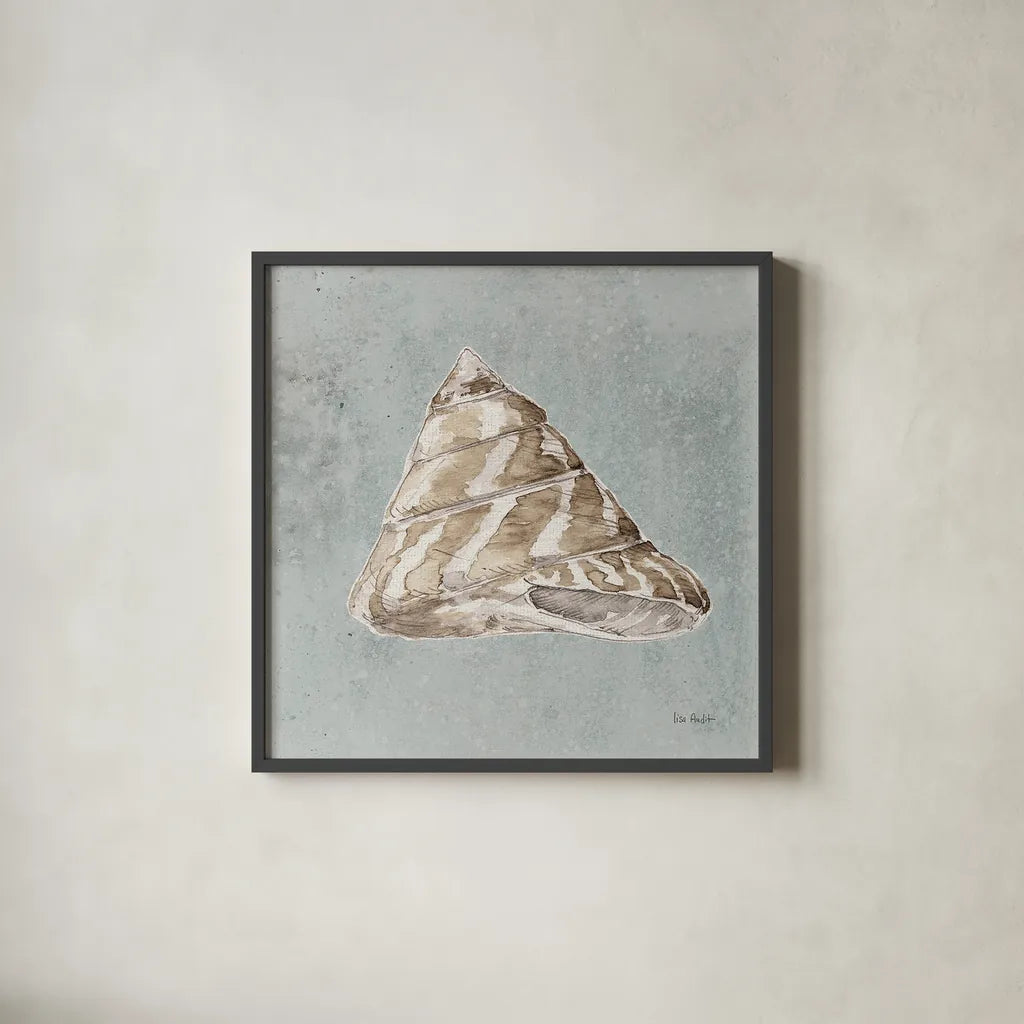 Sand and Seashells IV by Lisa Audit. Shown in a sleek black glass frame for a contemporary gallery look. Available as an archival giclee rolled canvas, fine art paper, or poster print. SKU 16902a.