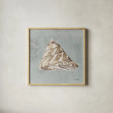 Sand and Seashells IV by Lisa Audit. Shown in a natural wood glass frame for a timeless modern aesthetic. Available as an archival giclee rolled canvas, fine art paper, or poster print. SKU 16902a.