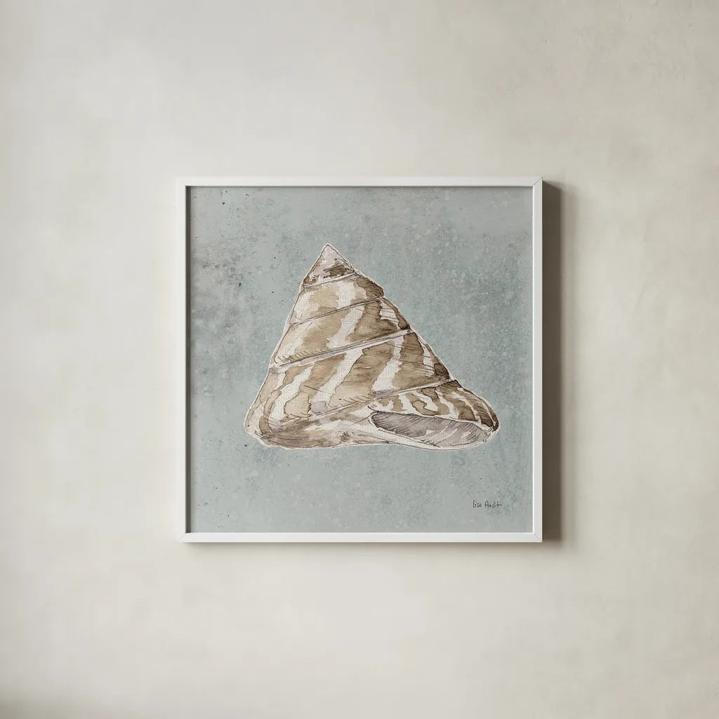Sand and Seashells IV by Lisa Audit. Shown in a crisp white glass frame for a clean and minimalist style. Available as an archival giclee rolled canvas, fine art paper, or poster print. SKU 16902a.