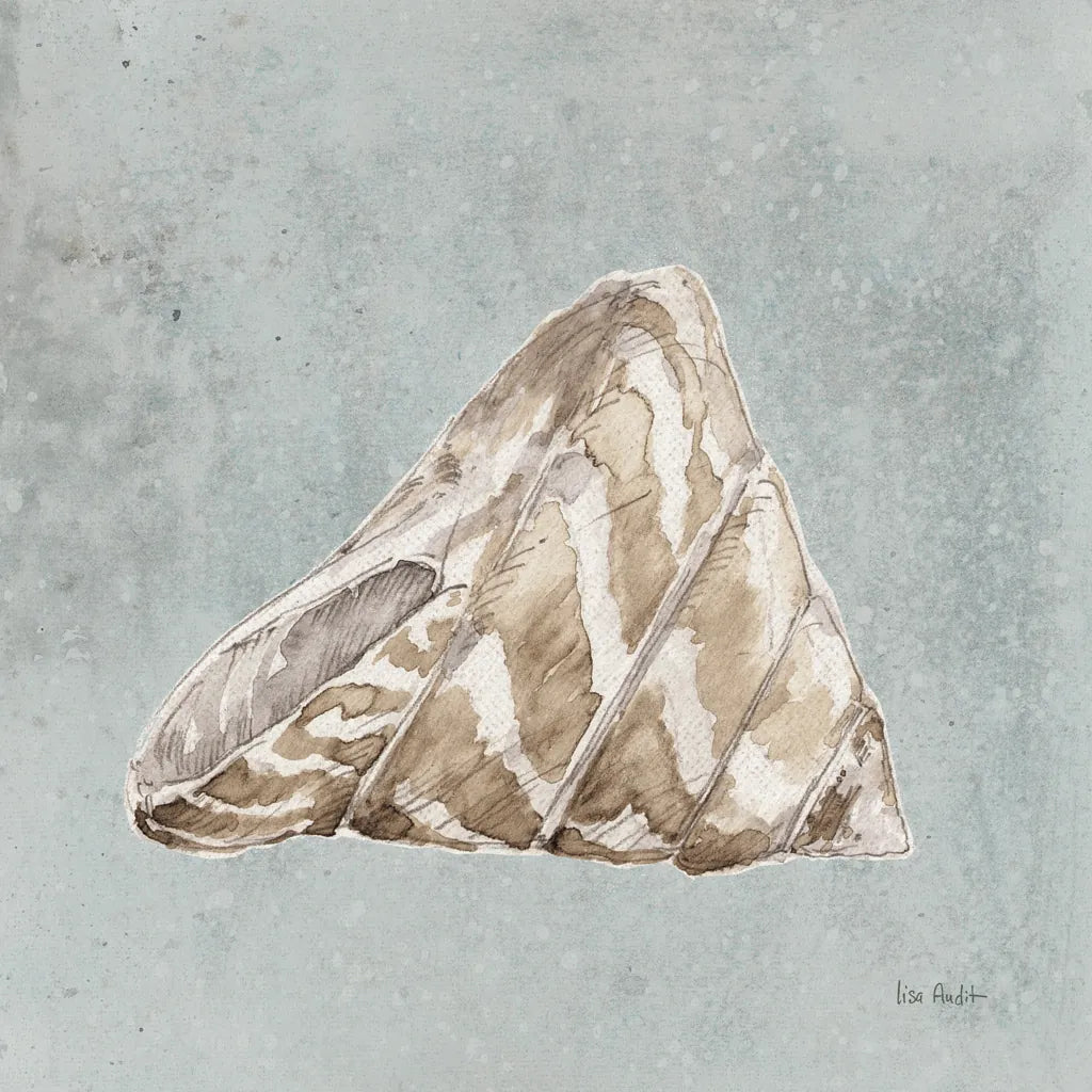 Sand and Seashells IV Left by Lisa Audit. SKU 50063a. Archival Giclee Fine art print for wall decor.