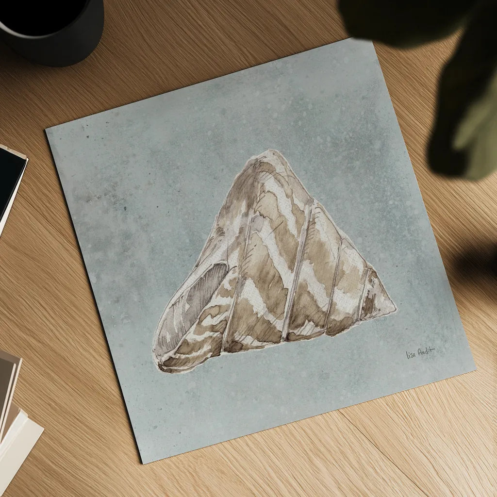 Sand and Seashells IV Left by Lisa Audit. Shown as a detailed flat fine art print, highlighting archival giclee quality. Available as an archival giclee rolled canvas, fine art paper, or poster print. SKU 50063a.