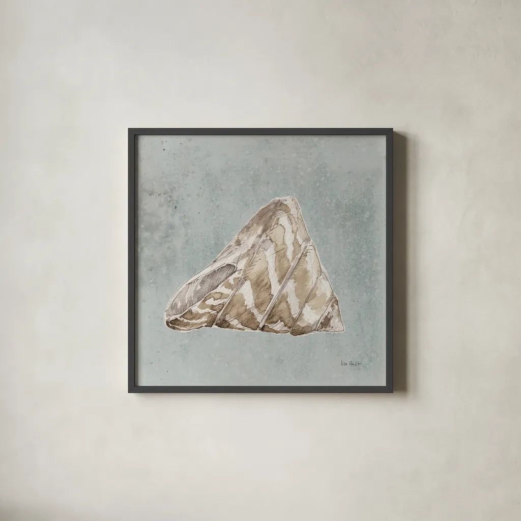 Sand and Seashells IV Left by Lisa Audit. Shown in a sleek black glass frame for a contemporary gallery look. Available as an archival giclee rolled canvas, fine art paper, or poster print. SKU 50063a.