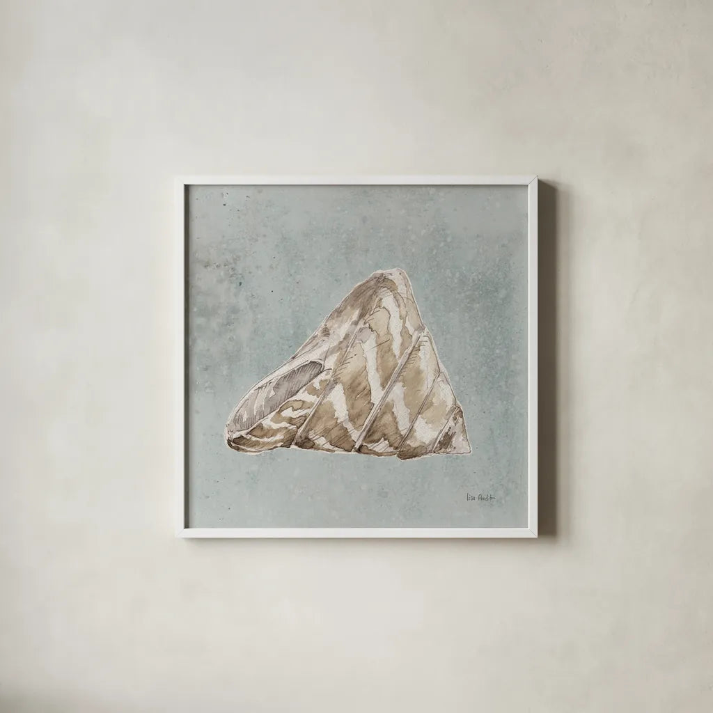 Sand and Seashells IV Left by Lisa Audit. Shown in a crisp white glass frame for a clean and minimalist style. Available as an archival giclee rolled canvas, fine art paper, or poster print. SKU 50063a.