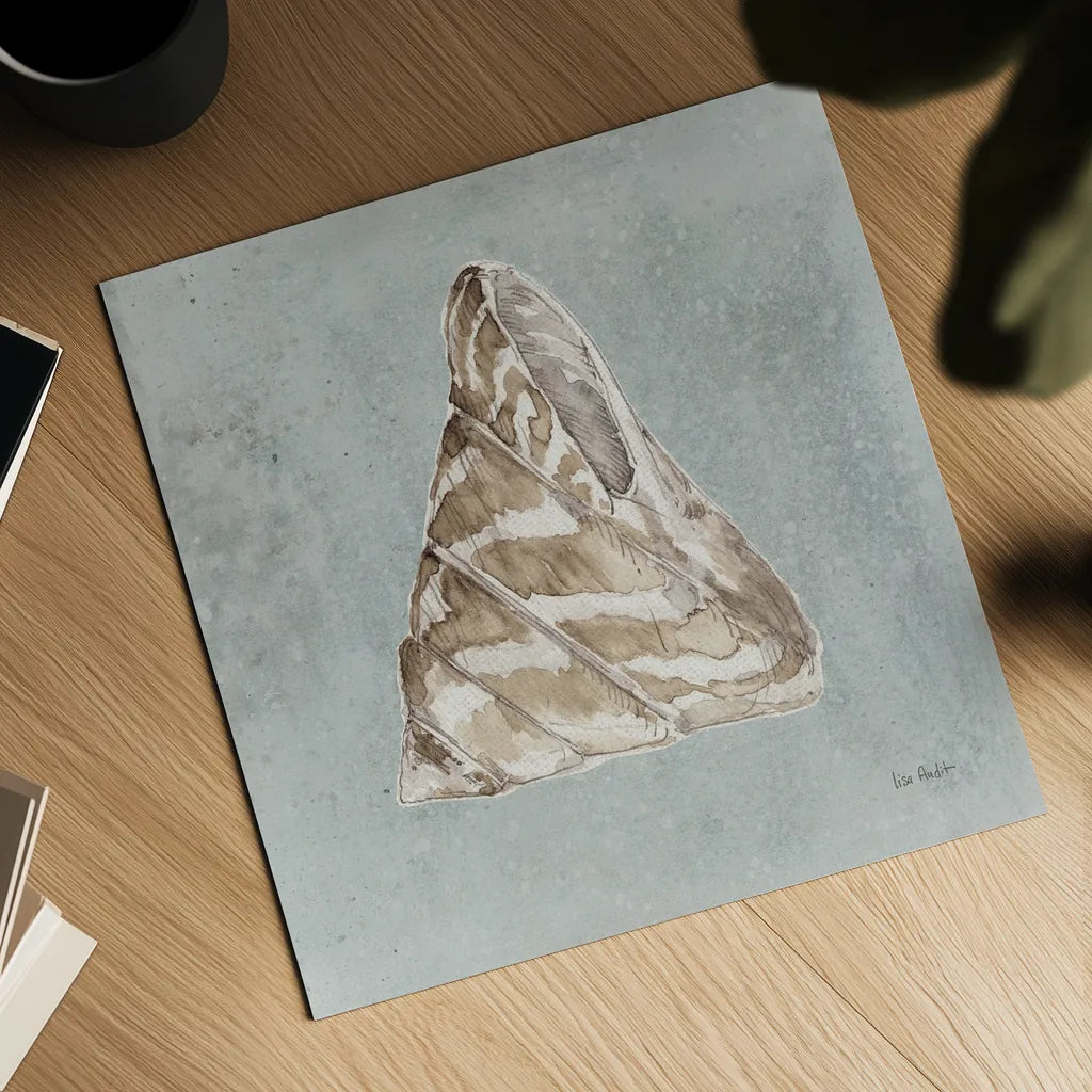 Sand and Seashells IV Right by Lisa Audit. Shown as a detailed flat fine art print, highlighting archival giclee quality. Available as an archival giclee rolled canvas, fine art paper, or poster print. SKU 50064a.