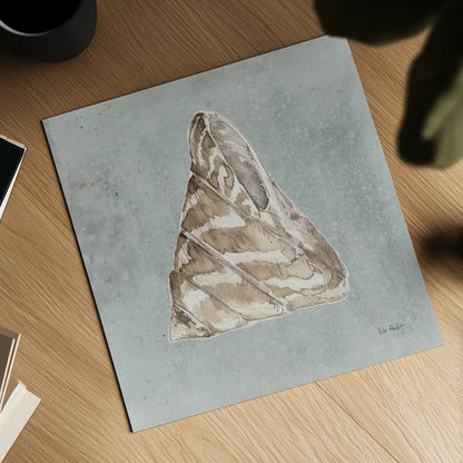 Sand and Seashells IV Right by Lisa Audit. Shown as a detailed flat fine art print, highlighting archival giclee quality. Available as an archival giclee rolled canvas, fine art paper, or poster print. SKU 50064a.