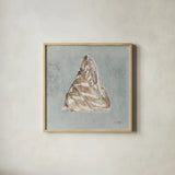 Sand and Seashells IV Right by Lisa Audit. Shown in a natural wood glass frame for a timeless modern aesthetic. Available as an archival giclee rolled canvas, fine art paper, or poster print. SKU 50064a.